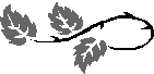 leaf.gif (1475 bytes)