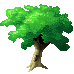 tree.gif (2094 bytes)